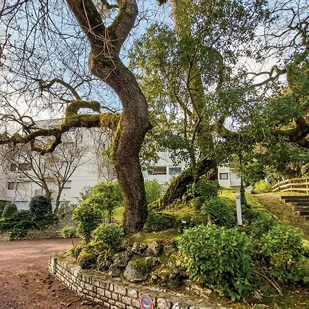 Διαμέρισμα Vue *
